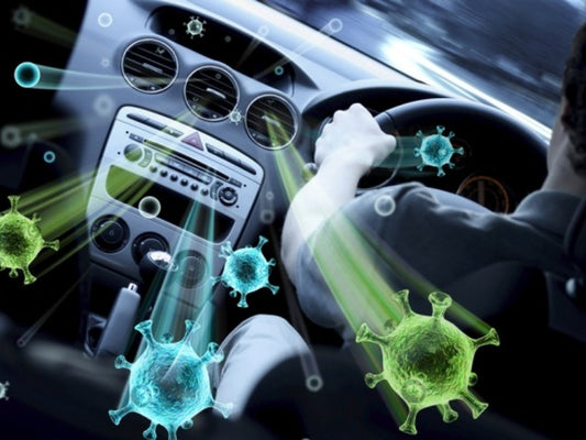 Drivers Beware: There Are Germs Everywhere!