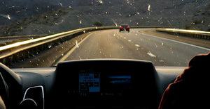 Bugs Bugs Everywhere. What It Takes To Keep Your Windshield Clear.