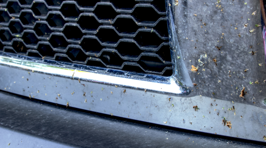 Bugs, Tar, and UV: The Summer Trifecta Your Car Is Still Fighting