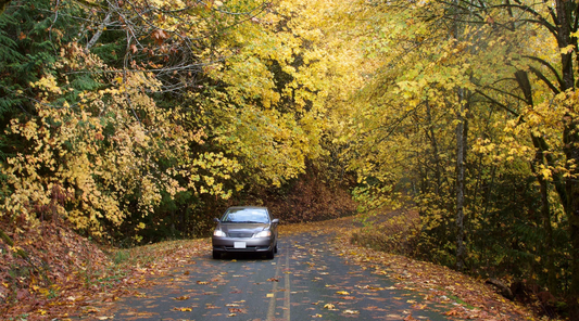 The October Moisture Problem: Rain, Dew, and What They Do to Your Finish